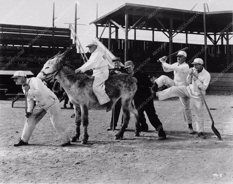 sports baseball Pete Smith Short Subject Donkey Baseball 1100-27