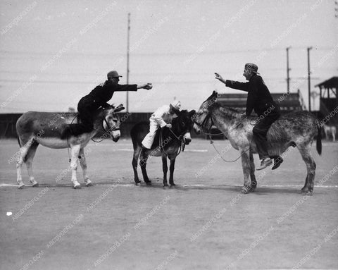 sports baseball Pete Smith Short Subject Donkey Baseball 1100-28