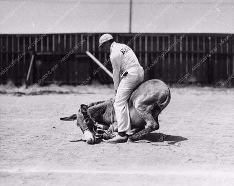 sports baseball Pete Smith Short Subject Donkey Baseball 1100-29