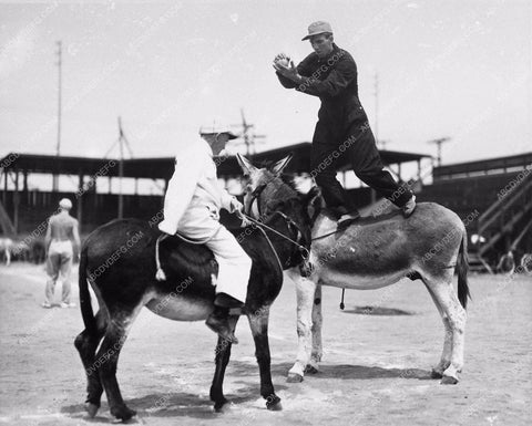 sports baseball Pete Smith Short Subject Donkey Baseball 1100-30