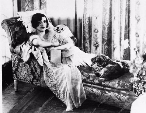 Alma Rubens her pup on chaise lounge 1104-24