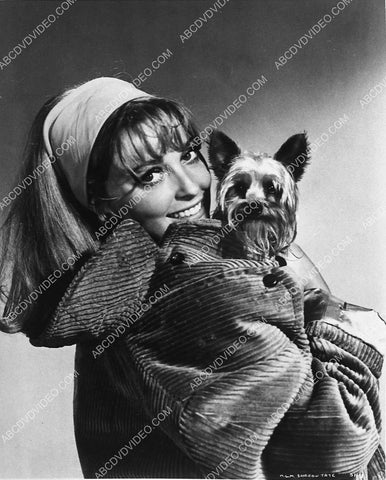 beautiful Sharon Tate w her dog 1107-21