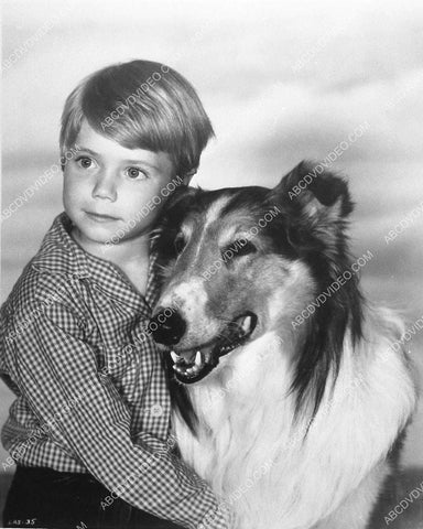 John Provost Lassie the dog TV Lassie 1141-17