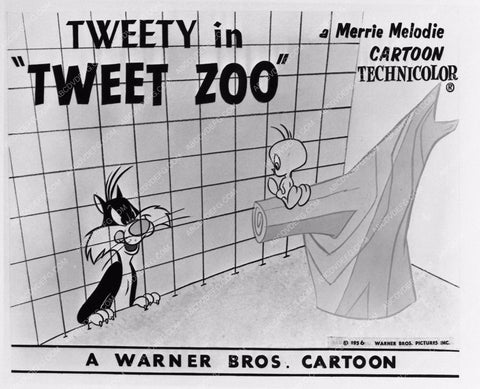 Sylvester and Tweety in animation cartoon Tweet Zoo 1157-32