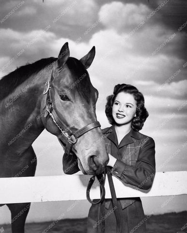 Shirley Temple film The Story of Seabiscuit 1211-12 – ABCDVDVIDEO