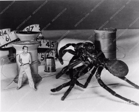 Grant Williams sci-fi classic film The Incredible Shrinking Man 1292-01