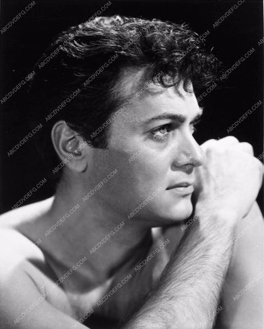 handsome Tony Curtis portrait 1318-05