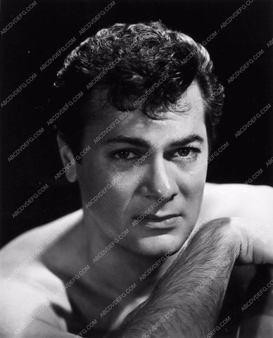 handsome Tony Curtis portrait 1318-06