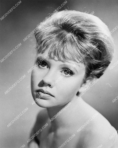 beautiful Hayley Mills portrait 1337-17