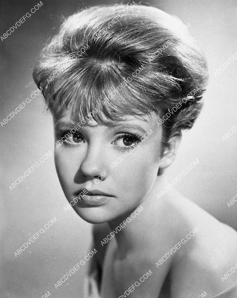 beautiful Hayley Mills portrait 1337-18 – ABCDVDVIDEO