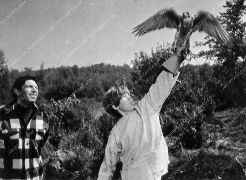 Theodore Bikel My Side of the Mountain 1354-08