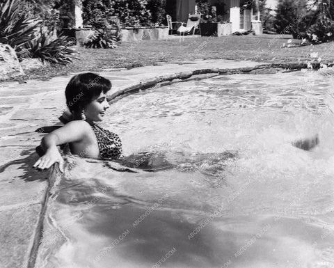 candid Elizabeth Taylor leopard print swimsuit swimming pool at home 1454-05