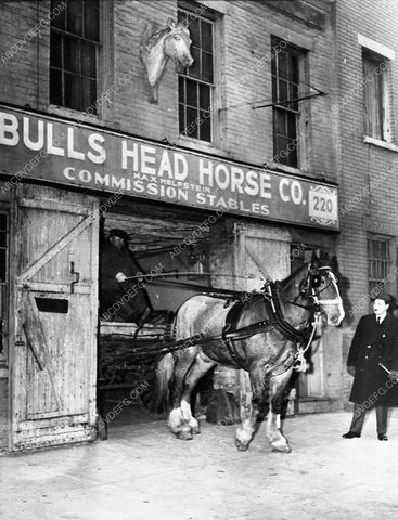 vintage building Bulls Head Horse Co. Max Helpstein horse & wagon 1463-07