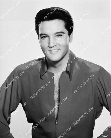 cool Elvis Presley portrait 1525-02