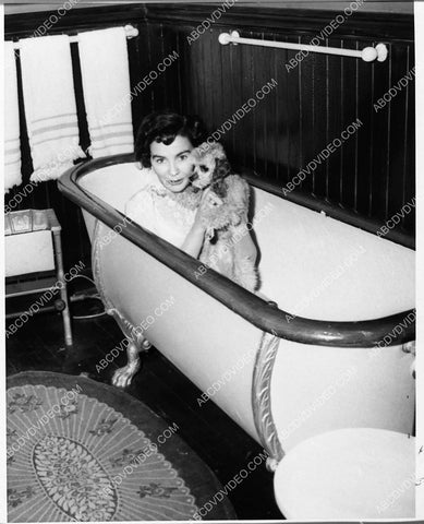 silent film star Dorothy Dalton portrait 1535-21