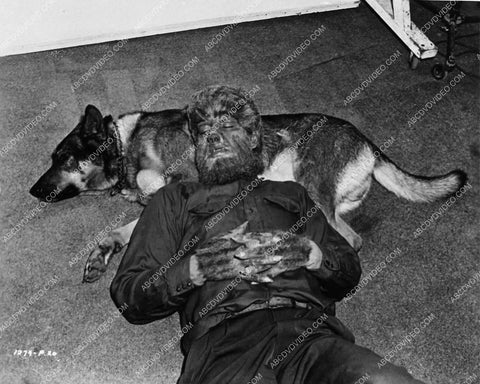 Lon Chaney Jr relaxes and takes a nap w his dog on set film The Wolf Man 1625-26