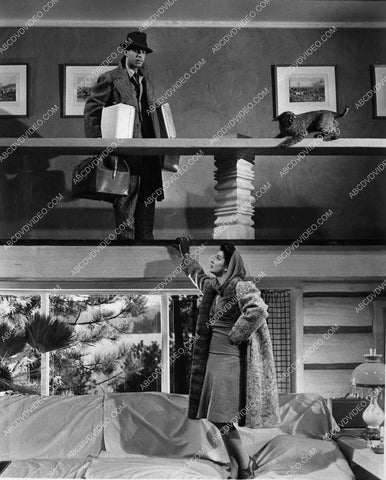 Red Buttons Elsa Martinelli and a leopard film Hatari 1630-04