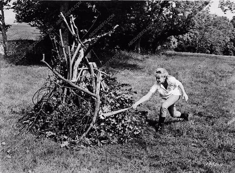 Hayley Mills Deborah Kerr Chalk Garden 1643-17