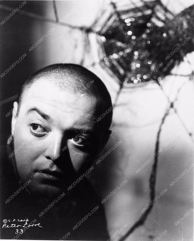 Peter Lorre portrait 1733-16