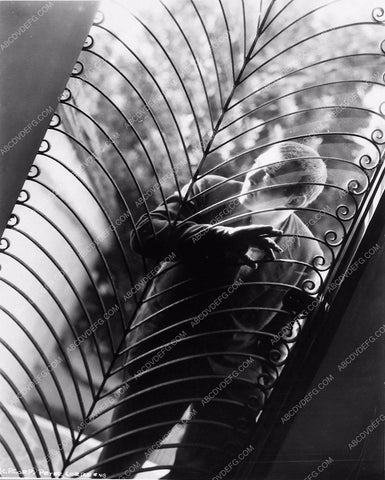 candid Peter Lorre at home 1733-22