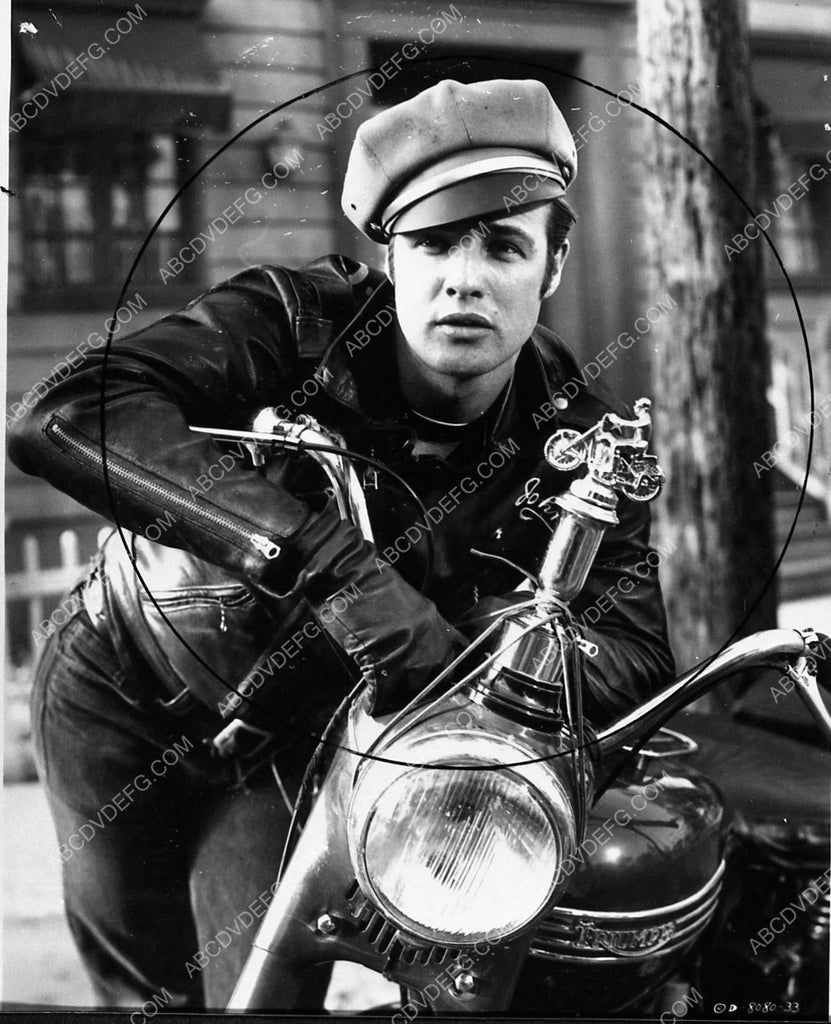 Marlon Brando film scene The Wild One 1752-22 – ABCDVDVIDEO