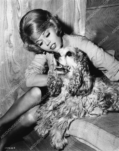 Jane Fonda spends time w her dog 1854-23