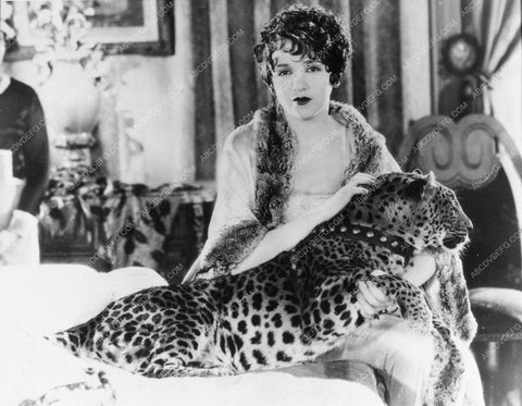 Bebe Daniels pre-code sexy in bed with leopard 1864-27