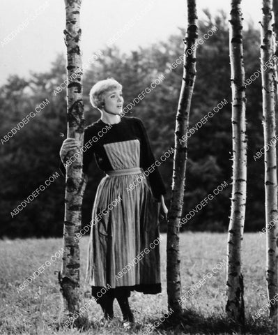 Julie Andrews film The Sound of Music 1892-13