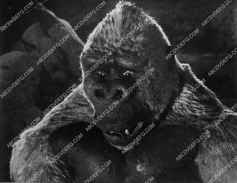 cool King Kong portrait film Son o Kong 1892-34