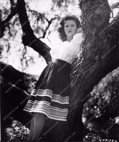 Shirley Temple posing in a tree 1924-13