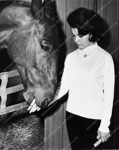 candid Annette Funicello feeding the horse some carrots 2010-28