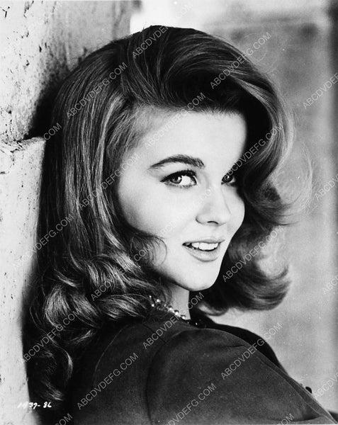 stunning Ann-Margret portrait 2011-25 – ABCDVDVIDEO