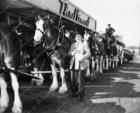 Bela Lugosi candid with Anheuser Busch Clysdale horses 2096-05