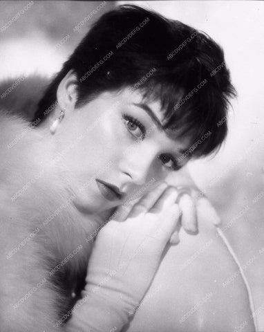 Shirley MacLaine portrait 2109-12