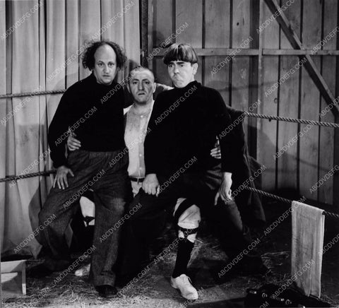 3 Stooges Moe Larry Curly cow milking contest comedy short subject 2192-30