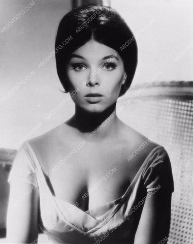 beautiful Yvonne Craig portrait 2244-13