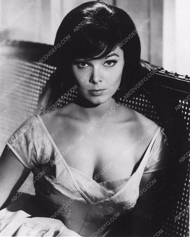 always beautiful Yvonne Craig portrait 2244-24