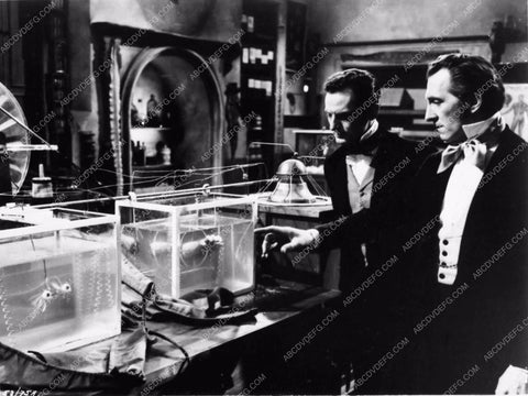 Peter Cushing Hammer Horror Revenge of Frankenstein photo 2245-19