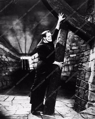 Boris Karloff Frankenstein 2298-18