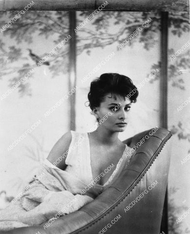 beautiful Sophia Loren portrait 2308-35