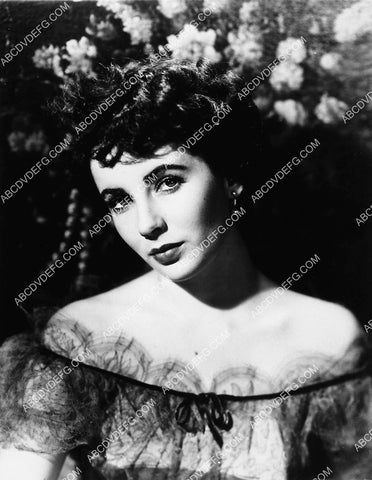 beautiful Elizabeth Taylor portrait 2309-10