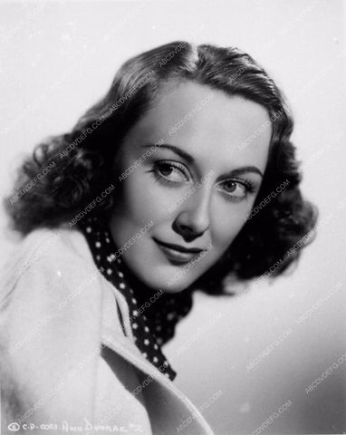 lovely portrait of Ann Dvorak photo 2363-23