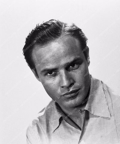 Marlon Brando portrait 2579-31