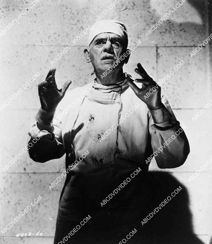 Boris Karloff film Frankenstein 1970 2729-13