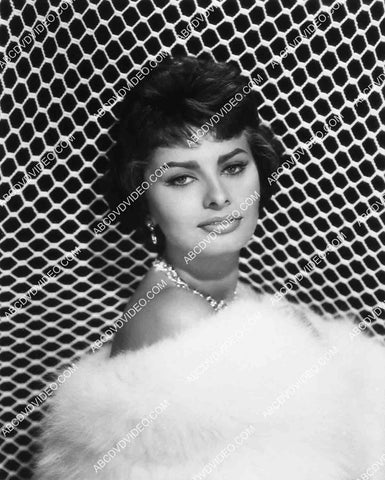 beautiful Sophia Loren wrapped in white fur 2754-2