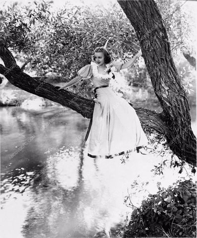 Anne Shirley portrait 2793-07