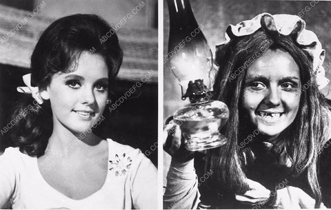 beautiful Dawn Wells as the ugly witch TV Gilligan's Island 2886-07