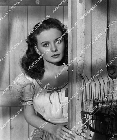 2959-008 lovely Jeanne Crain portrait film State Fair 2959-008