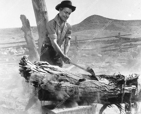 Alan Ladd chopping some wood film Proud Rebel 3034-07