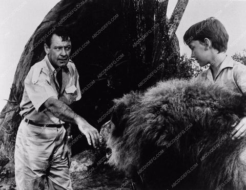 William Holden The Lion 3049-34
